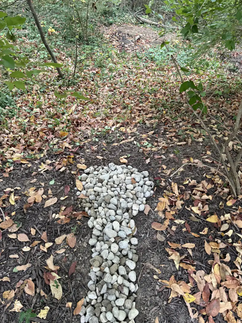 Finished dry well: a line of river rock running out of a mulch bed toward the woods