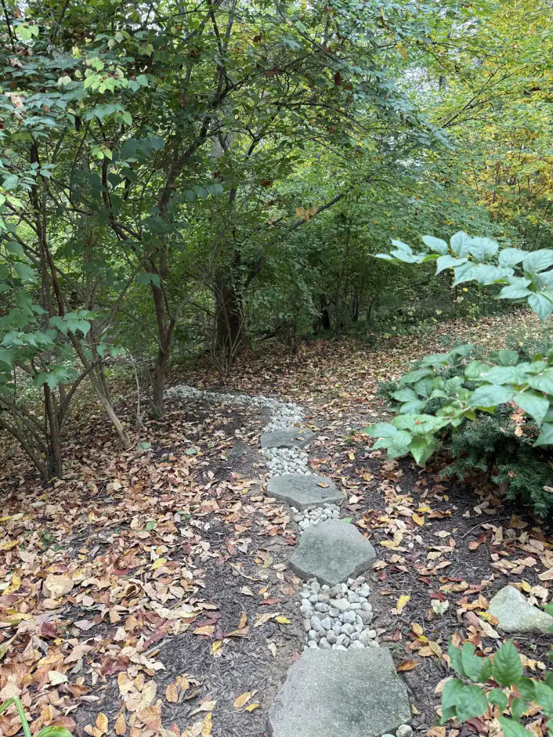 Stepping-stone path with river rock between the stones, leading toward a wooded area