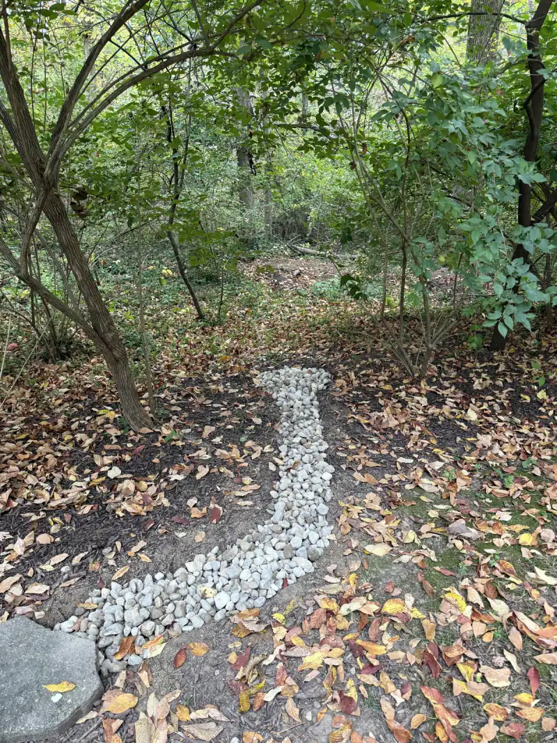 River rock line leaving the last stepping stone and running through a mulch bed under the trees