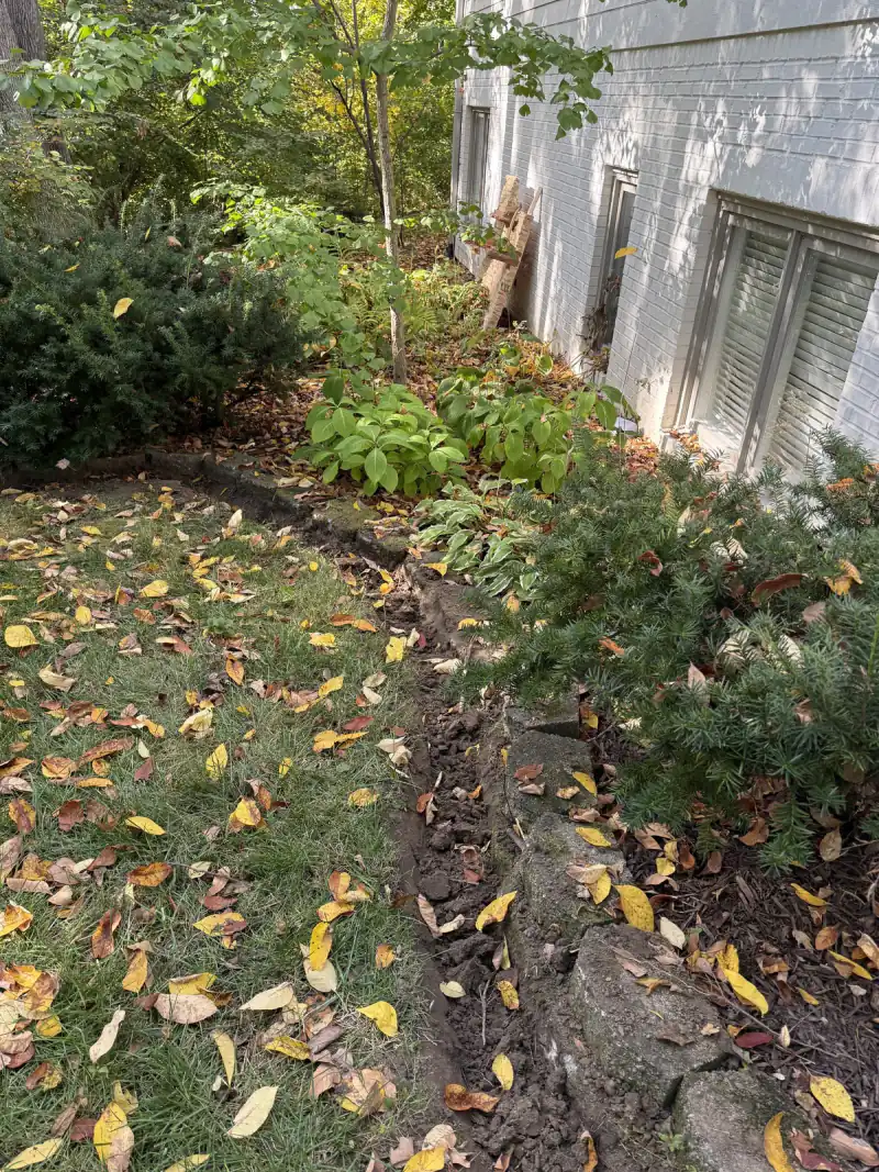 Open trench between the lawn and a landscaped bed, running along the wall toward the house