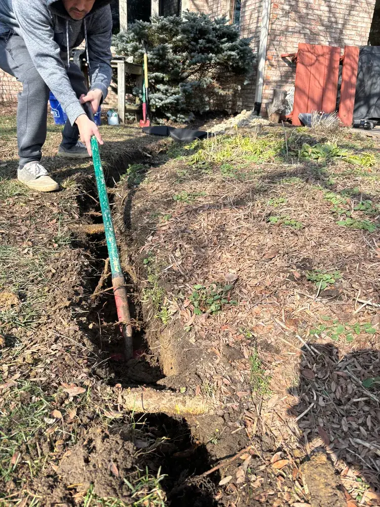 Narrow trench dug by hand through a planting bed, with a tree root left in place