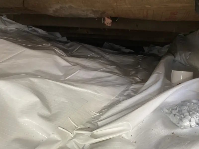 White vapor barrier laid in a low crawlspace