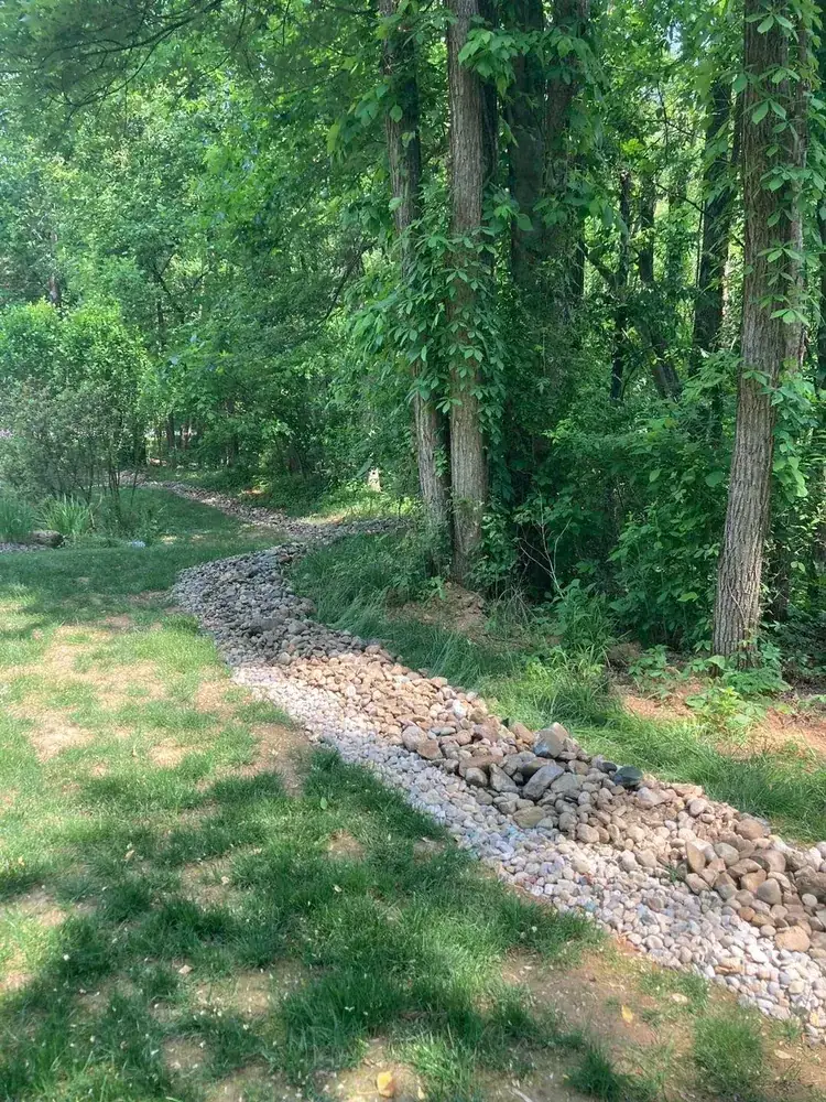 Rock-filled drain winding through a wooded lot